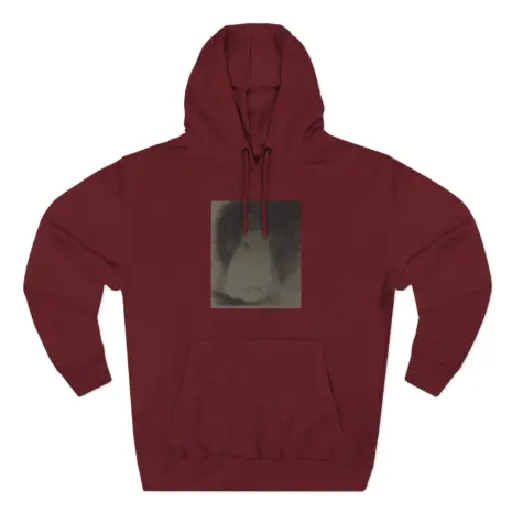 Ethel-Cain-Perverts-Three-Panel-Fleece-Hoodie-11 Ethel Cain Perverts Album Art Pullover Three-Panel Fleece Hoodie