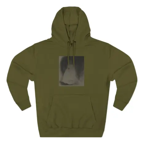 Ethel-Cain-Perverts-Three-Panel-Fleece-Hoodie-5 Ethel Cain Perverts Album Art Pullover Three-Panel Fleece Hoodie