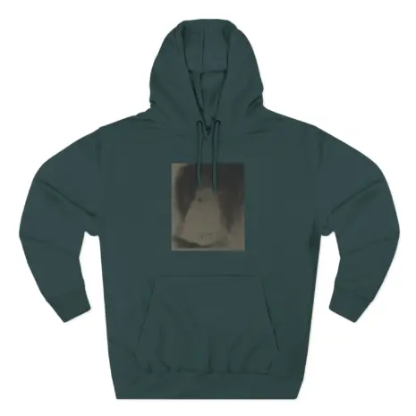 Ethel-Cain-Perverts-Three-Panel-Fleece-Hoodie-7 Ethel Cain Perverts Album Art Pullover Three-Panel Fleece Hoodie