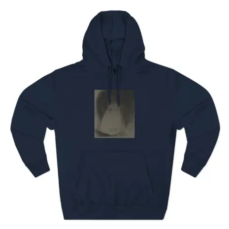 Ethel-Cain-Perverts-Three-Panel-Fleece-Hoodie-9 Ethel Cain Perverts Album Art Pullover Three-Panel Fleece Hoodie